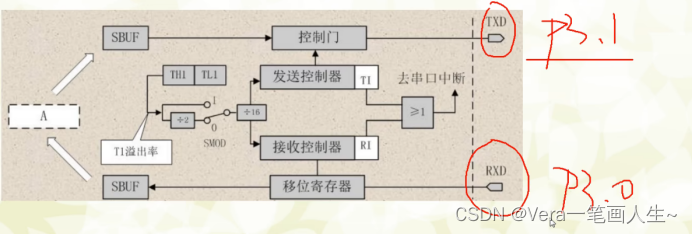 单片机<span style='color:red;'>学习</span><span style='color:red;'>笔记</span>---<span style='color:red;'>串口</span>通信（2）