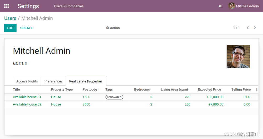 odoo17 | 模型视图继承