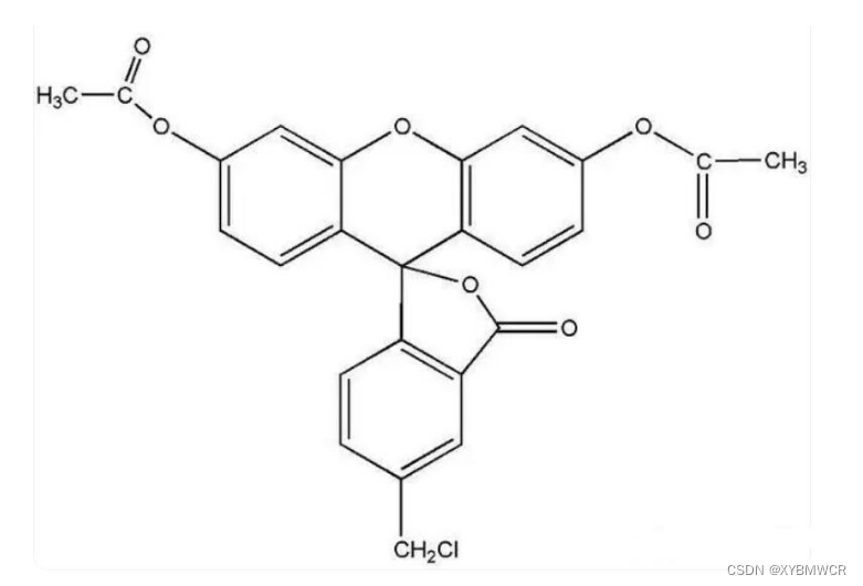 136832-63-8，活细胞示踪剂CMFDA(绿色)，5-氯甲基荧光素二醋酸酯，广泛应用于细胞追踪和标记实验中