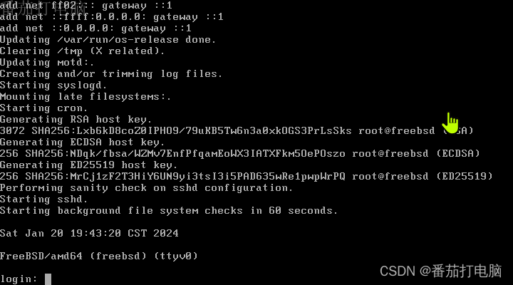 VMware workstation安装FreeBSD14.0虚拟机并配置网络