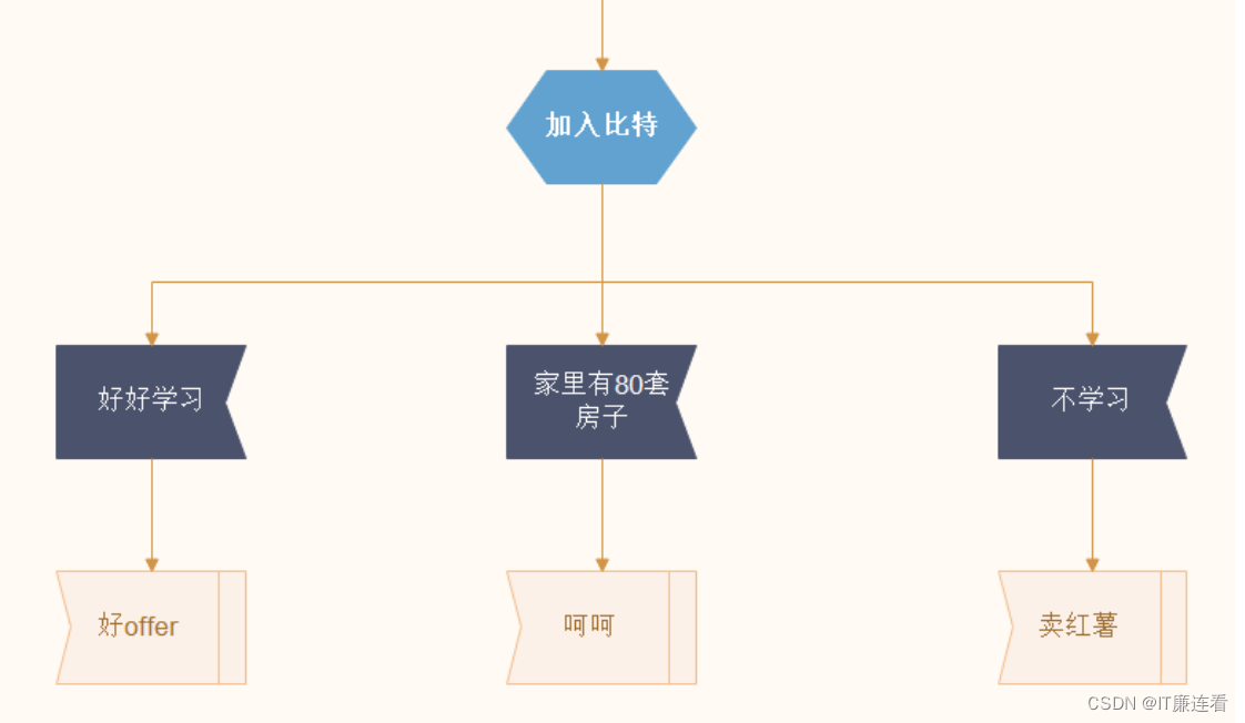 IT廉连看——C语言——分支语句