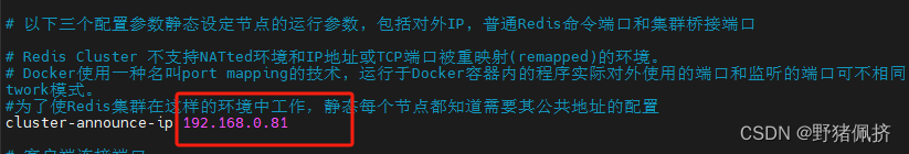 docker 手工redis7.x cluster