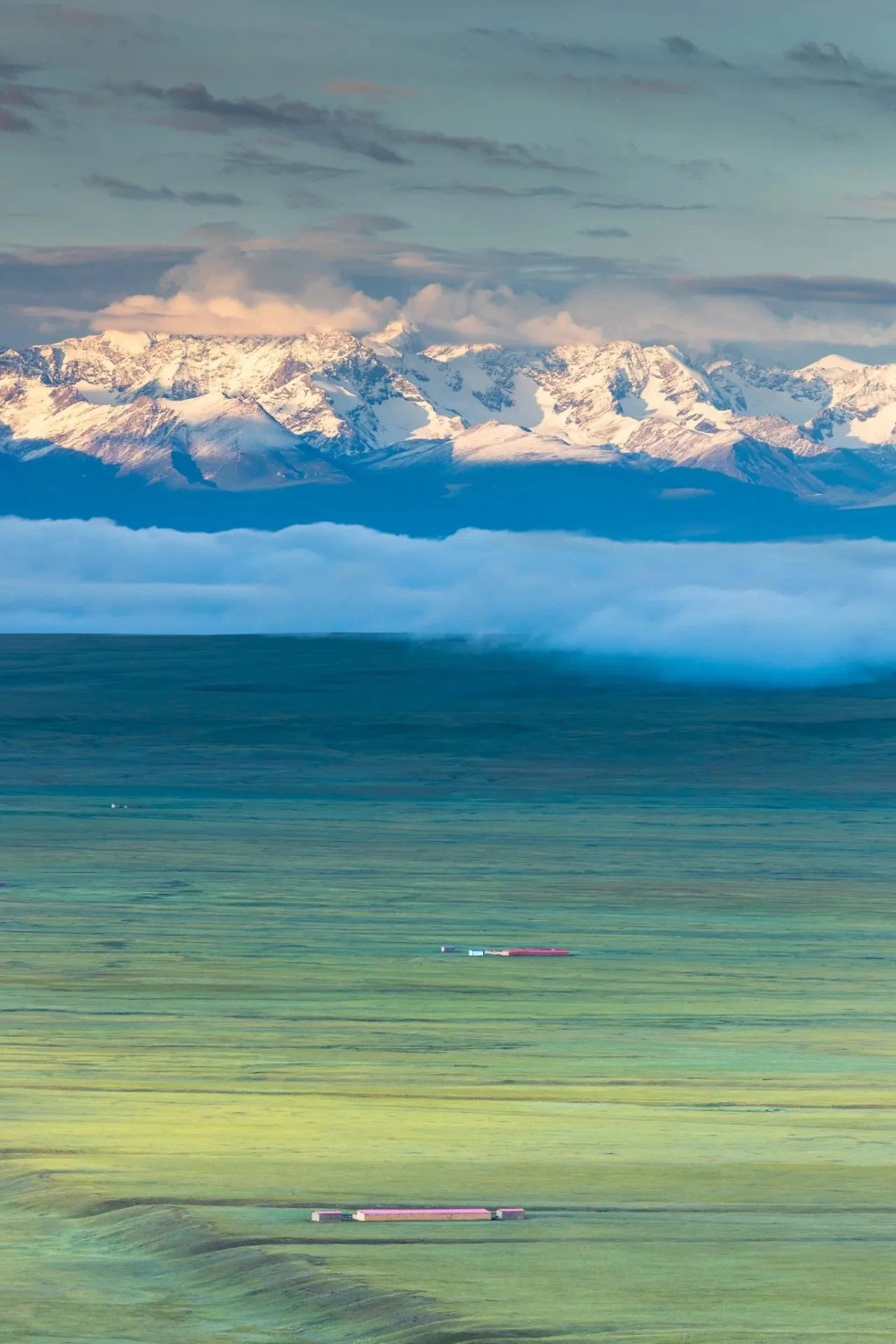 Linea Sepolia和Linea Goerli的区别-CSDN博客