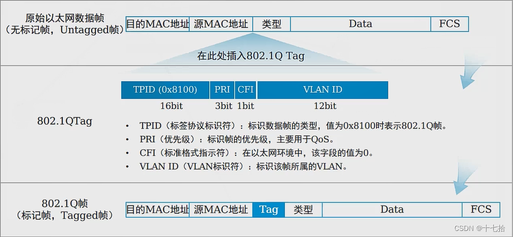 网络基础（九）：VLAN的概述及配置