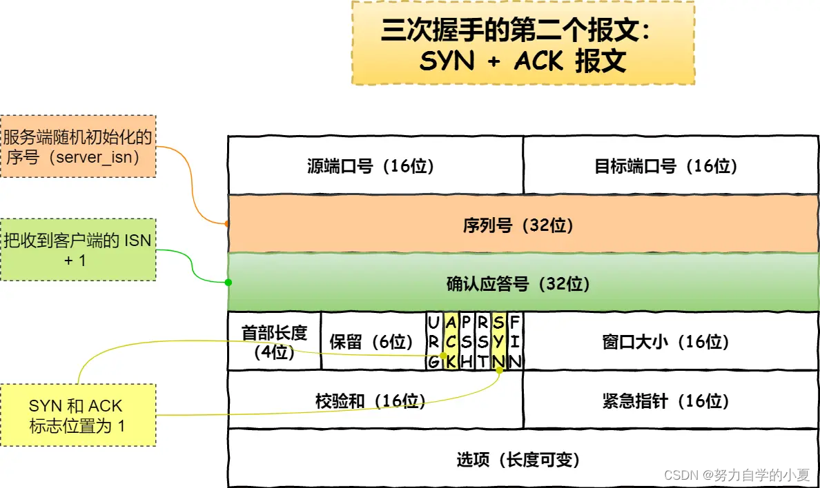 第二个报文：SYN + ACK 报文