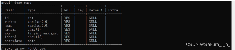 SQL--DDL