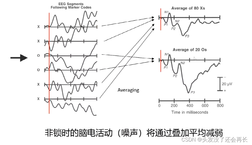 【脑电信号处理与特征提取】P5-彭薇薇：脑电信号的预处理及数据分析要点