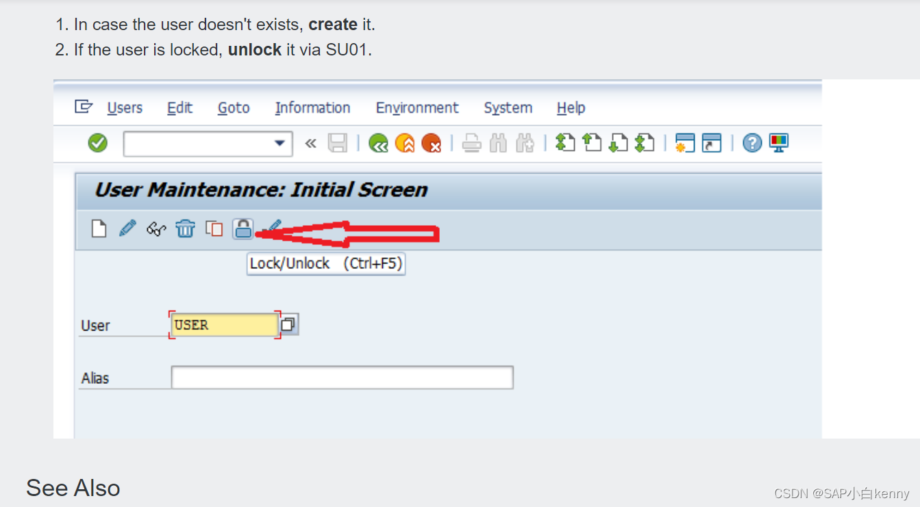 SM37 Cancel Logon of user DDIC in client 200 failed when starting a step