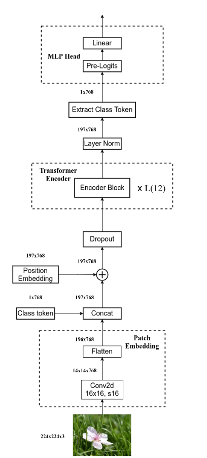 论文研读 An Image Is Worth 16x16 Words: Transformers For Image Recognition At Scale