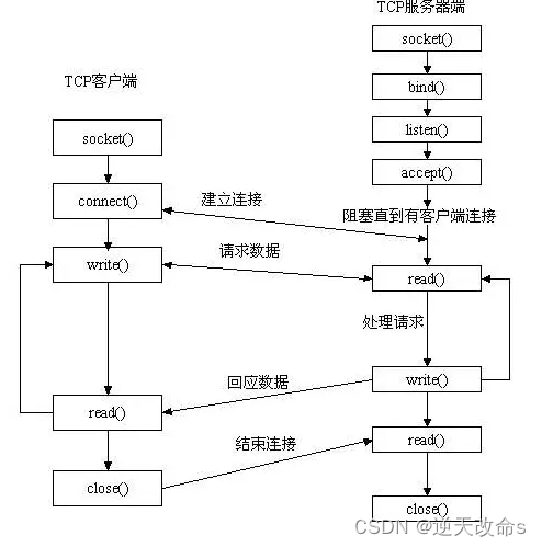 Linux的socket详解