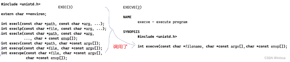 Linux——进程控制（三）进程程序替换