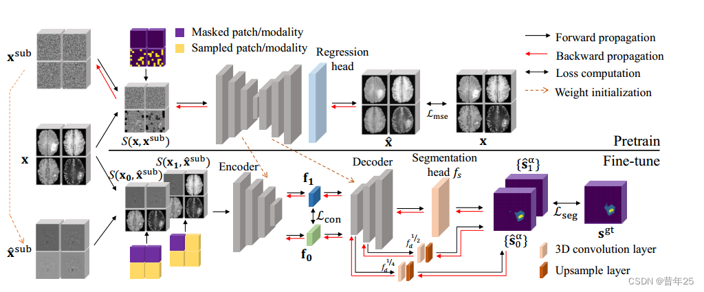 M3AE: Multimodal Representation Learning for Brain Tumor Segmentation ...