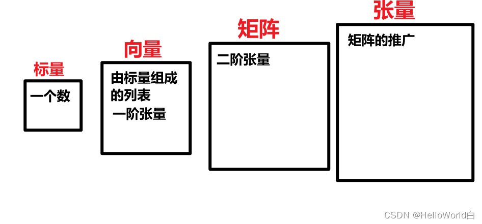 标量向量矩阵张量之间的关系