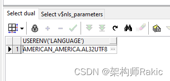 PLSQL中文乱码问题 + EZDML导入数据库模型乱码