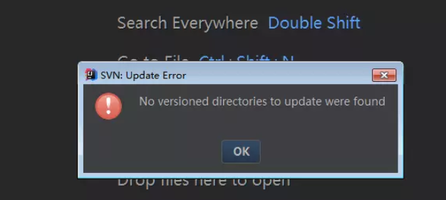 idea No versioned directories to update were found