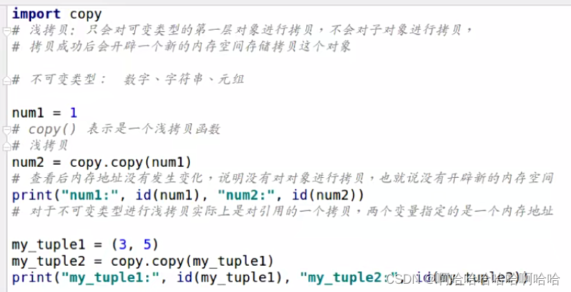 深浅拷贝以及正则表达式（python）