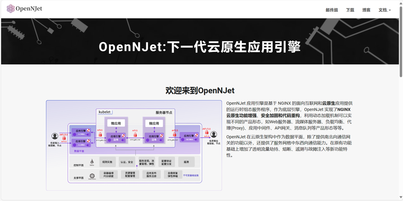 OpenNJet应用<span style='color:red;'>引擎</span>——<span style='color:red;'>云</span><span style='color:red;'>原生</span><span style='color:red;'>时代</span><span style='color:red;'>的</span>Web服务新选择