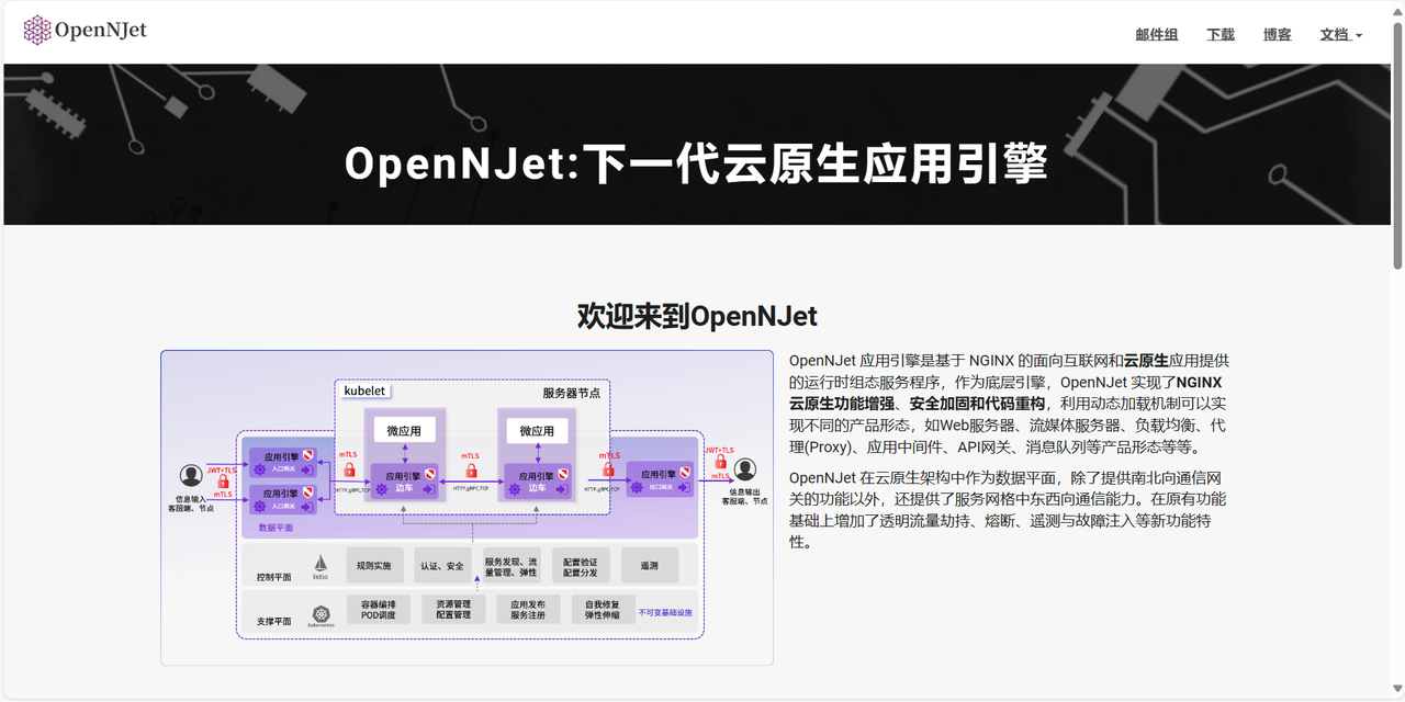 OpenNJet应用引擎——云原生<span style='color:red;'>时代</span><span style='color:red;'>的</span>Web<span style='color:red;'>服务</span><span style='color:red;'>新</span><span style='color:red;'>选择</span>