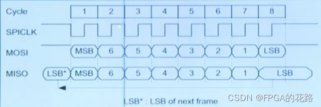 SPI 接口