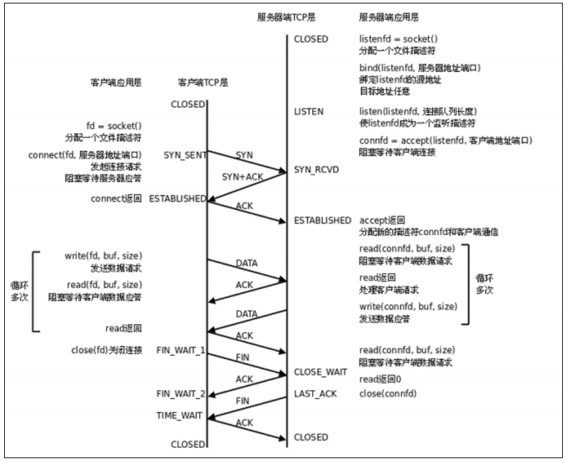 【Linux 网络】网络编程套接字 -- 详解