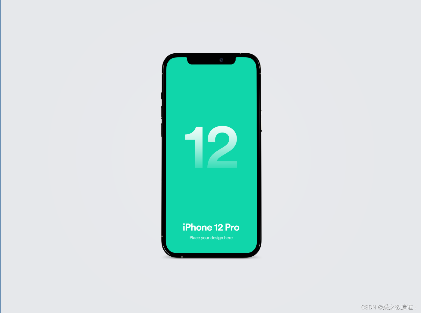ps0813真实iphone样机iphone12propsd文件
