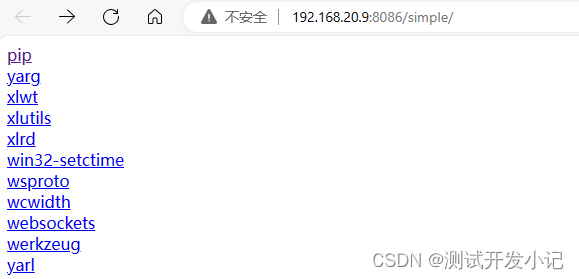 使用pip2pi和nginx搭建私有pip镜像源方法