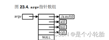 指针（四）