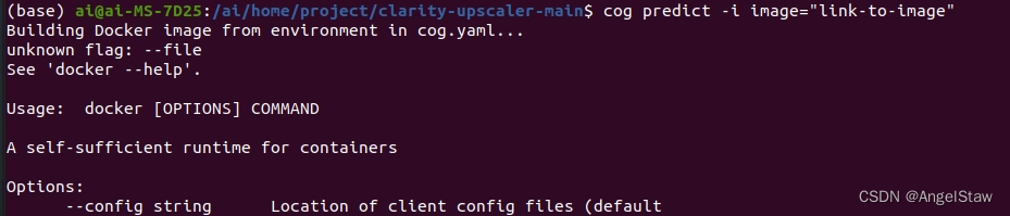 cog predict docker unknown flag: --file