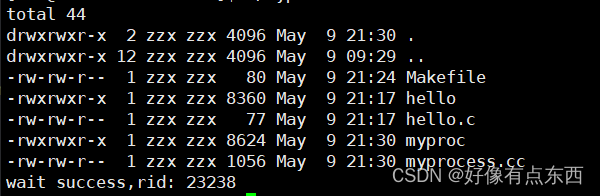 【Linux】进程程序替换