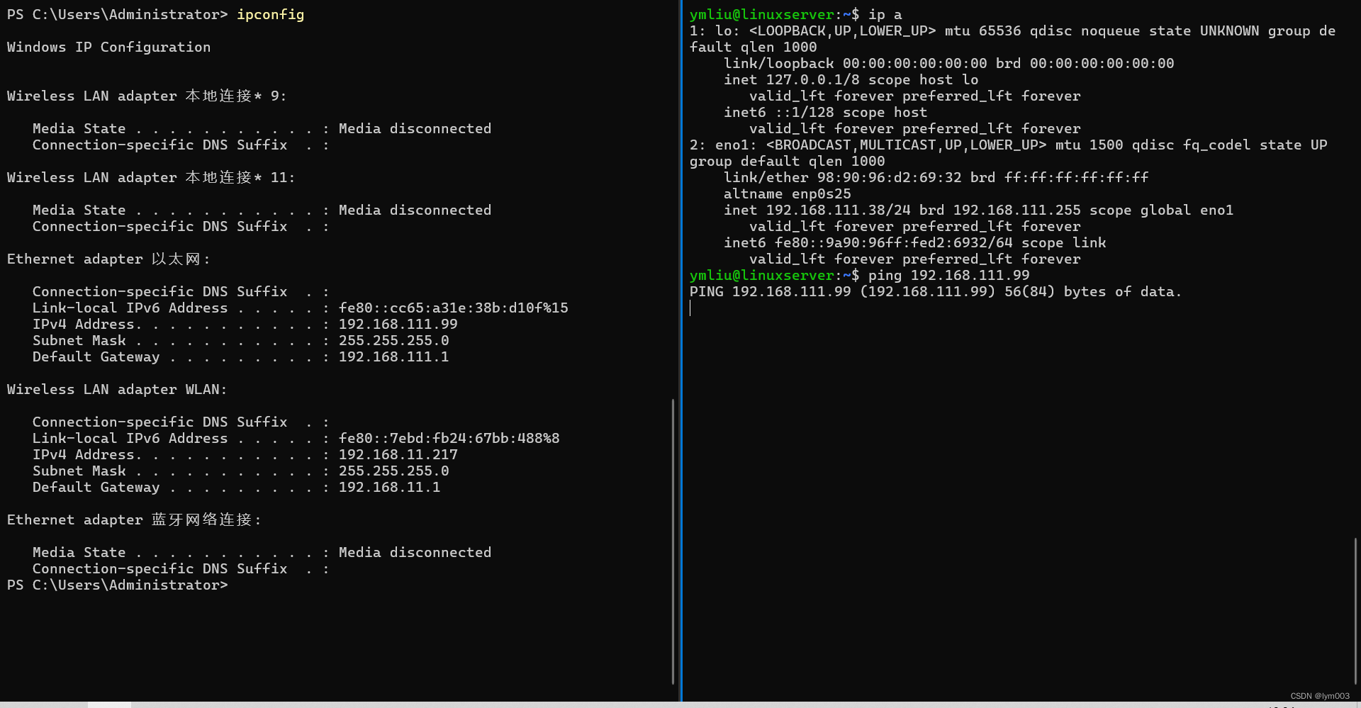 ping 是什么意思?