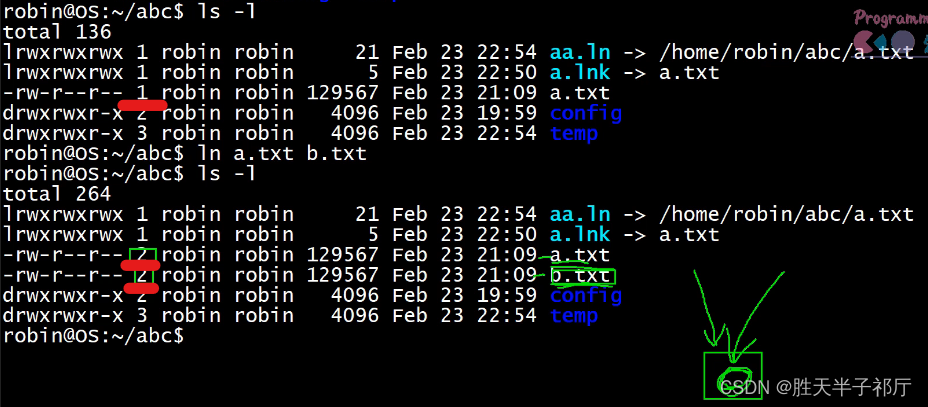 Linux操作系统学习：day03