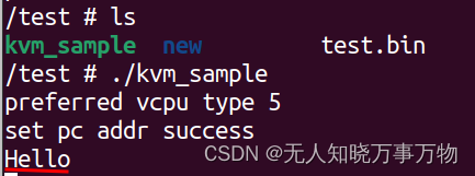 linux虚拟化之kvm（一个200行的arm64虚拟机代码）