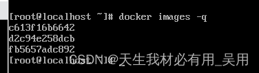 Docker镜像，什么事Docker镜像，Docker基本常用命令