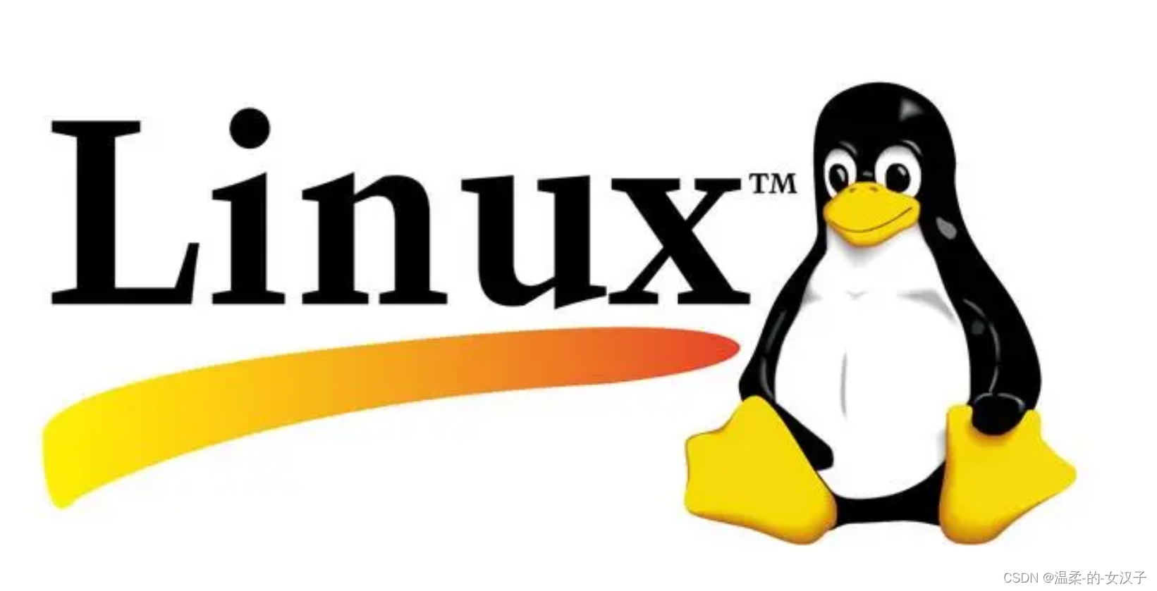 Linux 删除文件或文件夹命令（新手）