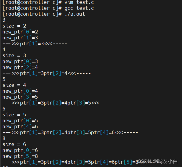 linux学习：内存(栈，堆，数据段，代码段）