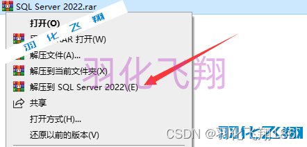 SQL Server 2022软件安装教程(附软件下载地址)_1_示意图