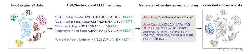 fig1