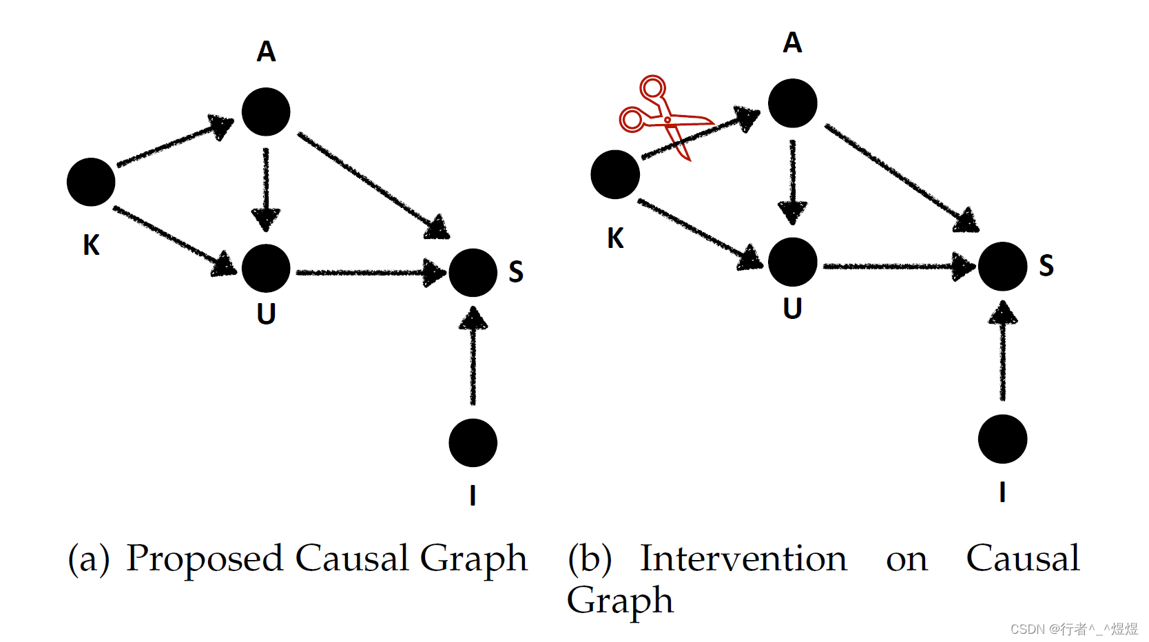 Causal Graph & Intervention