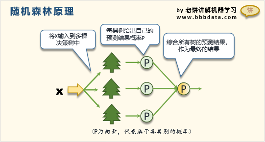 【教程】5分钟直接了解随机森林模型