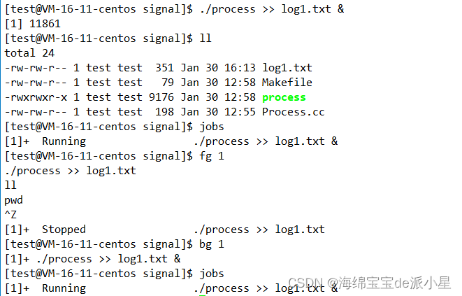 Linux：进程信号