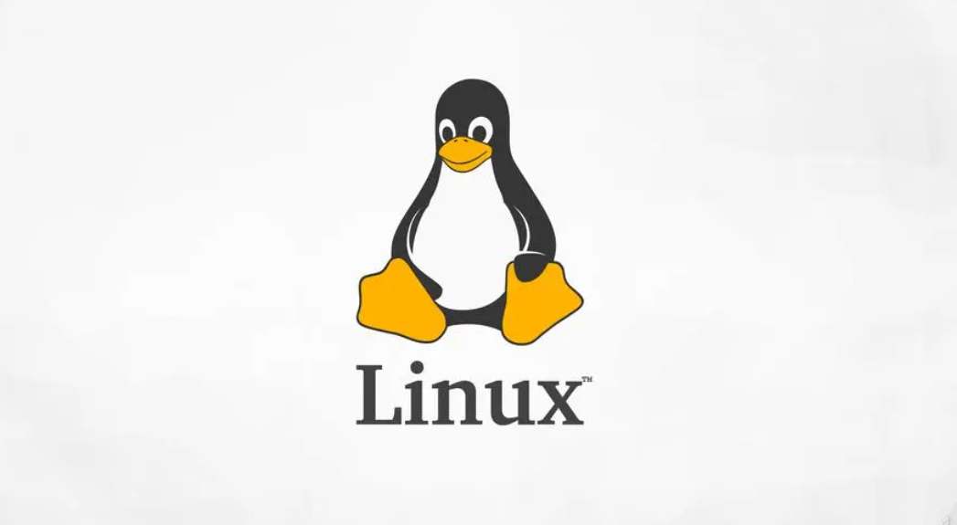 Linux笔记---用户和权限管理基本命令介绍