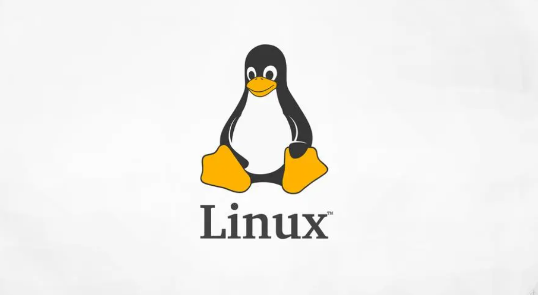 【Linux笔记】用户和权限管理基本命令介绍