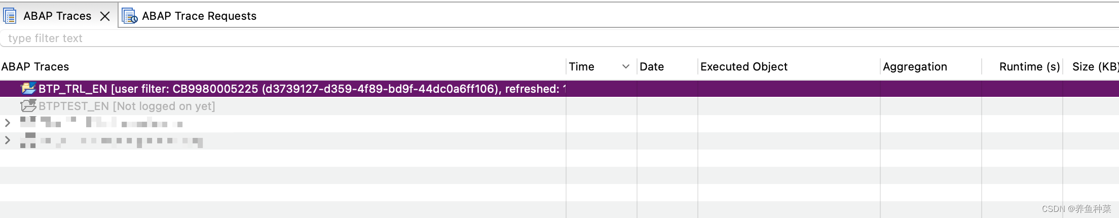 使用ABAP Profiling