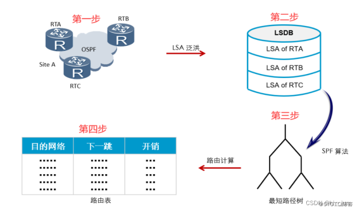 OSPF原理图