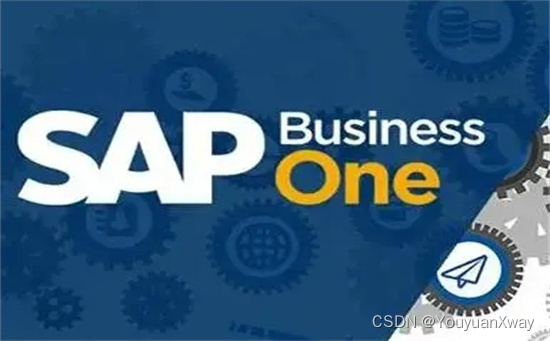 常见的芯片行业ERP：SAP Business One ERP系统
