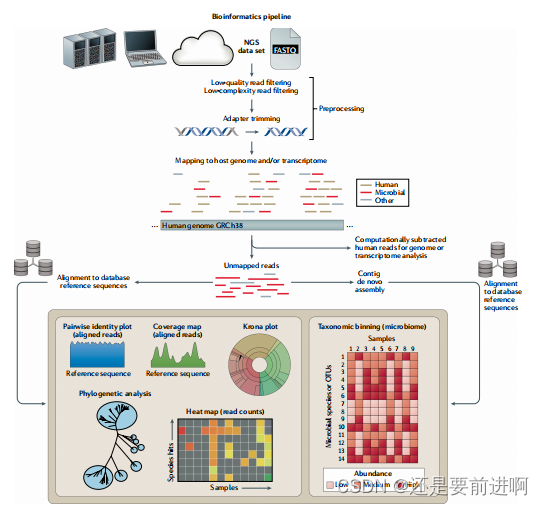 文献分享：《Clinical metagenomics》