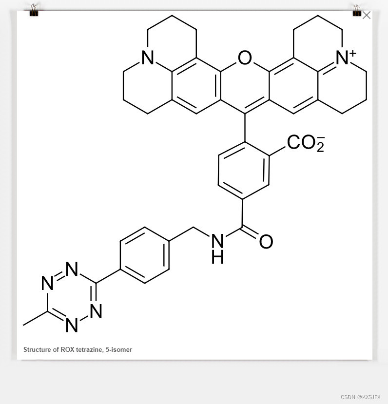 ROX tetrazine，5-isomer，可用于标记生物分子，细胞和组织等