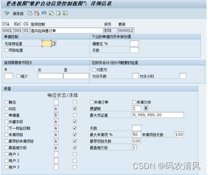 S4 Hana SD -信贷管理 - 03