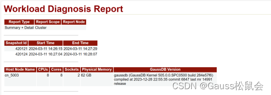 GaussDB WDR分析之集群报告篇