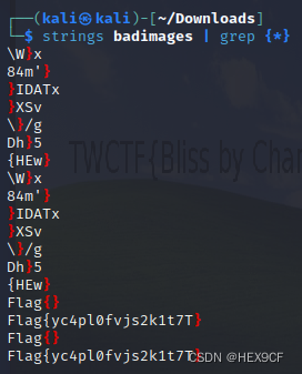 【CTF MISC】XCTF GFSJ0766 something_in_image Writeup（字符串搜索）